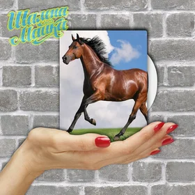 Прикольные кружки:  Animals 058 Лошадь 05